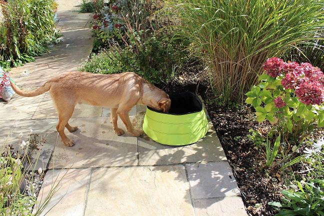 Pond positioned and checked by Dobson